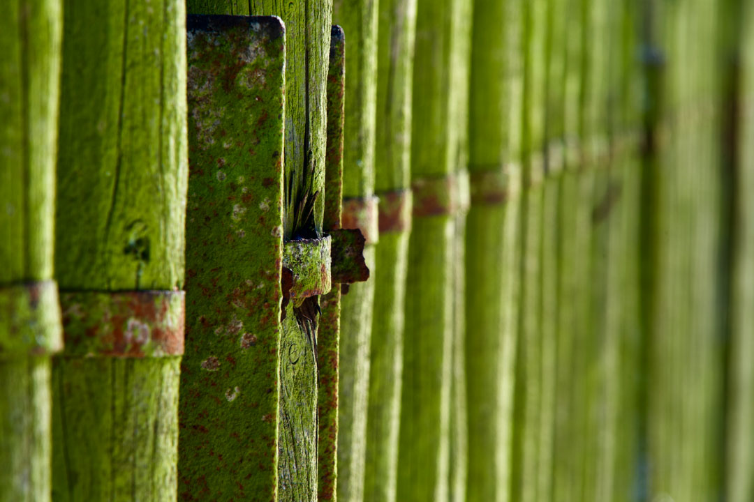 Epo Q1 Green Fence