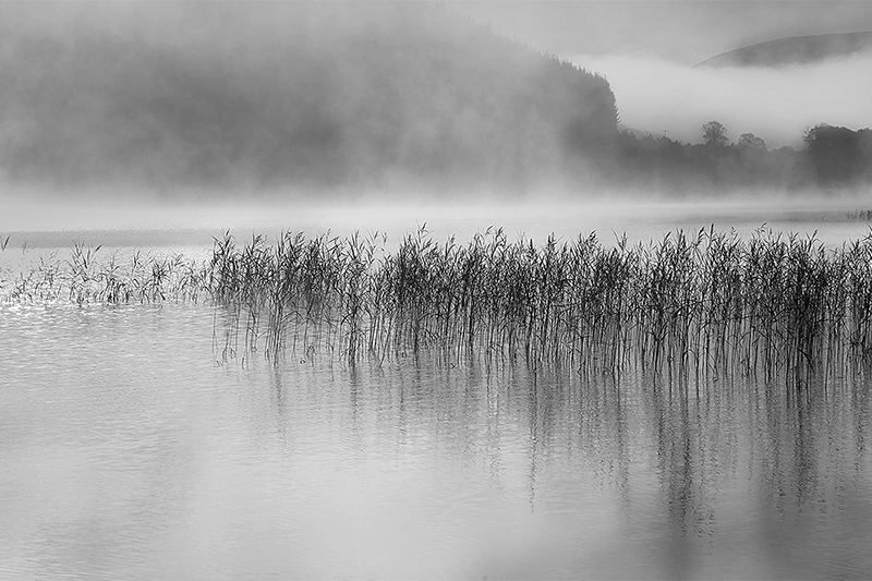 Misty Morning On The Loch