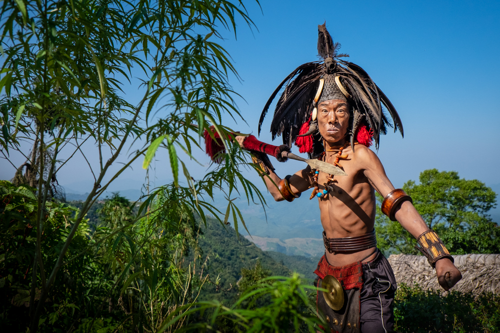 Protecting The Cannabis, Nagaland by David Huggett