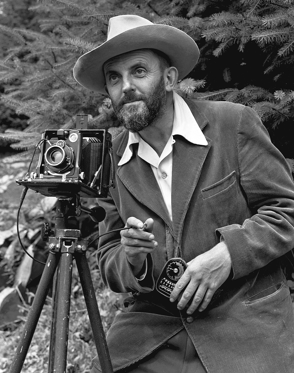 Portrait Of Ansel Adams By J.Malcolm Greany