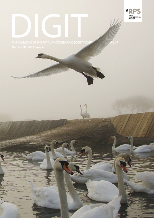 DIGIT 91 Front Cover