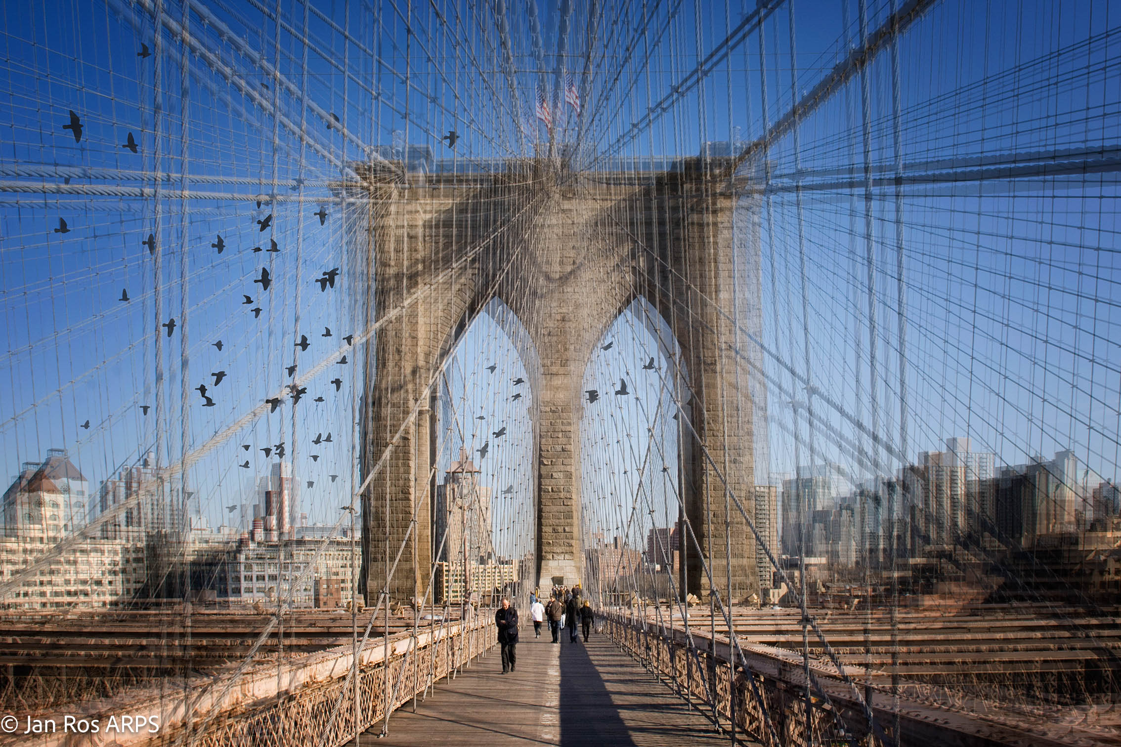 06 Jan Ros ARPS New York City Brooklyn Bridge