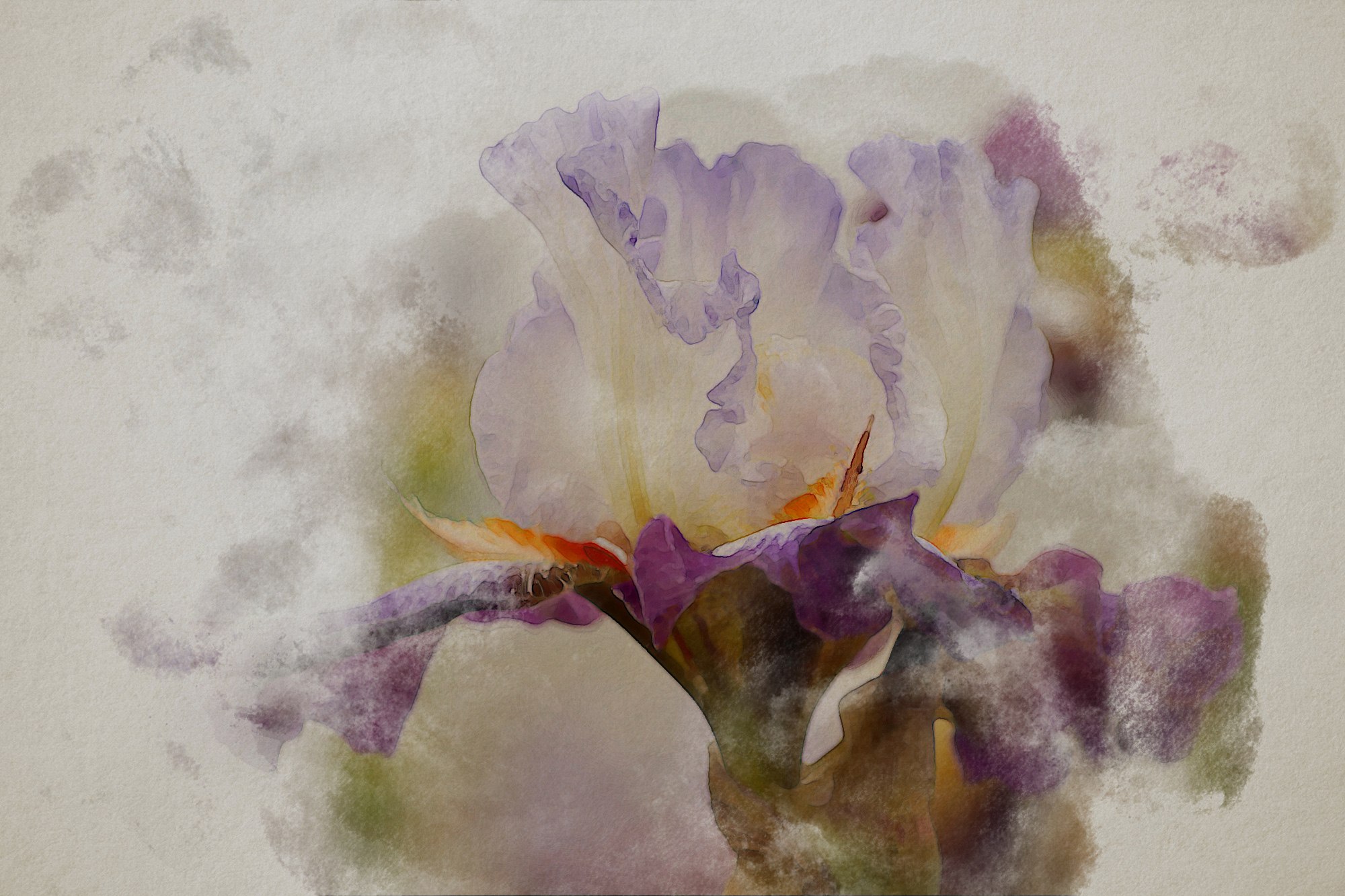 Iris Watercolour
