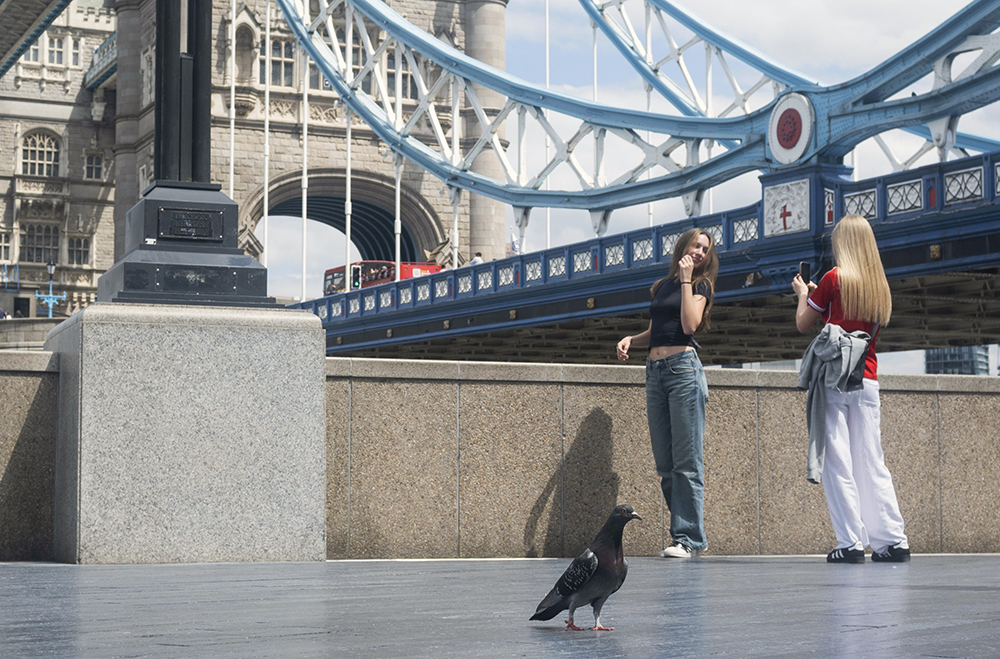 Posing For Lens, Queen's Walk, Tower Bridge by Sarang Brand