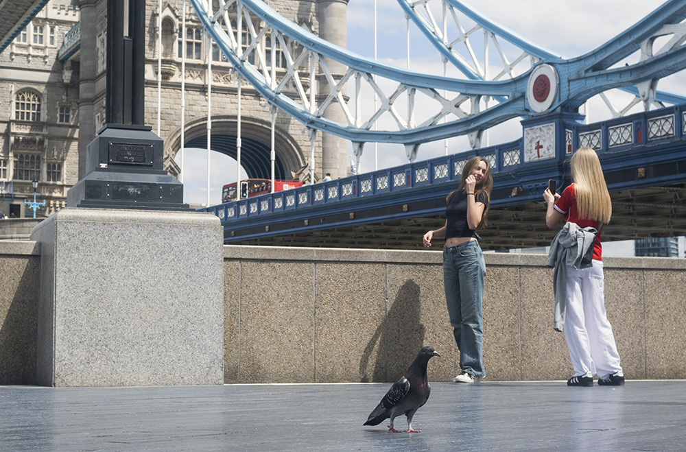 Posing For Lens, Queen's Walk, Tower Bridge by Sarang Bhand