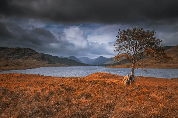 SMALL Trossachs October 26Th Workshop