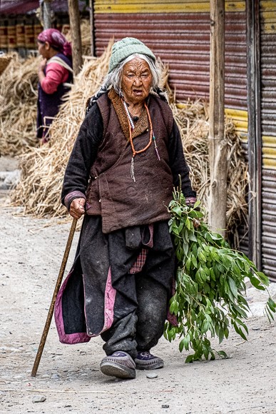 Harvest In The Village, Ladakh, Jane Tearle