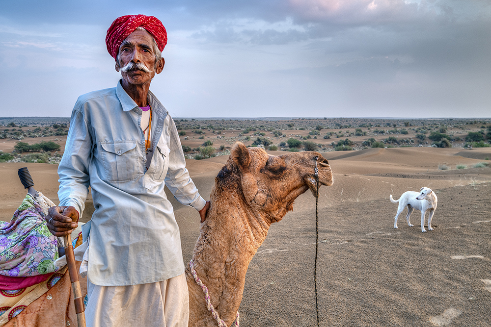 Camel Herder, Thar Desert by Andrew Flannigan