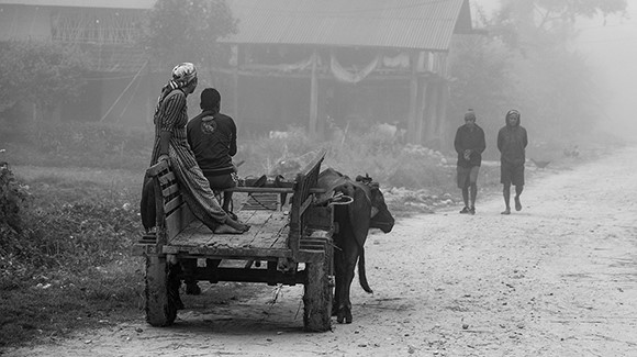 Thumbnail Village Scene Chitwan Nepal