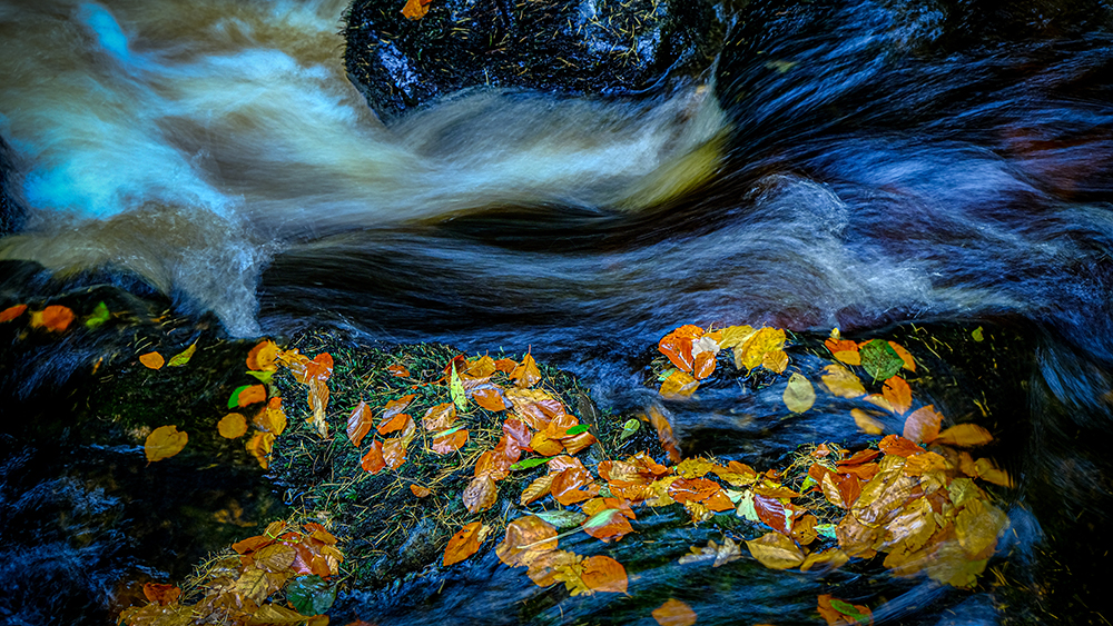 Autumnal Flow