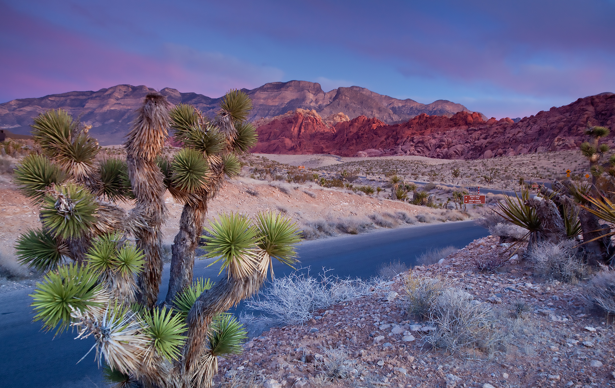 Desert Road By Steve Mcdonald