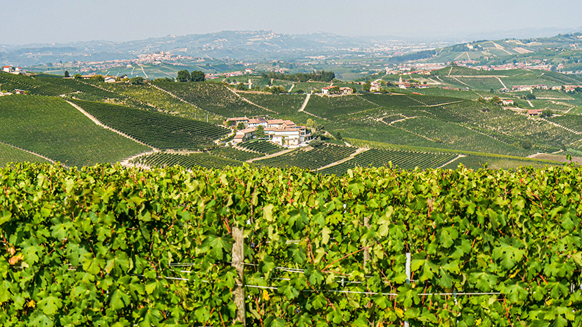 Langhe, Roero, Monferrato UNESCO Vineyards