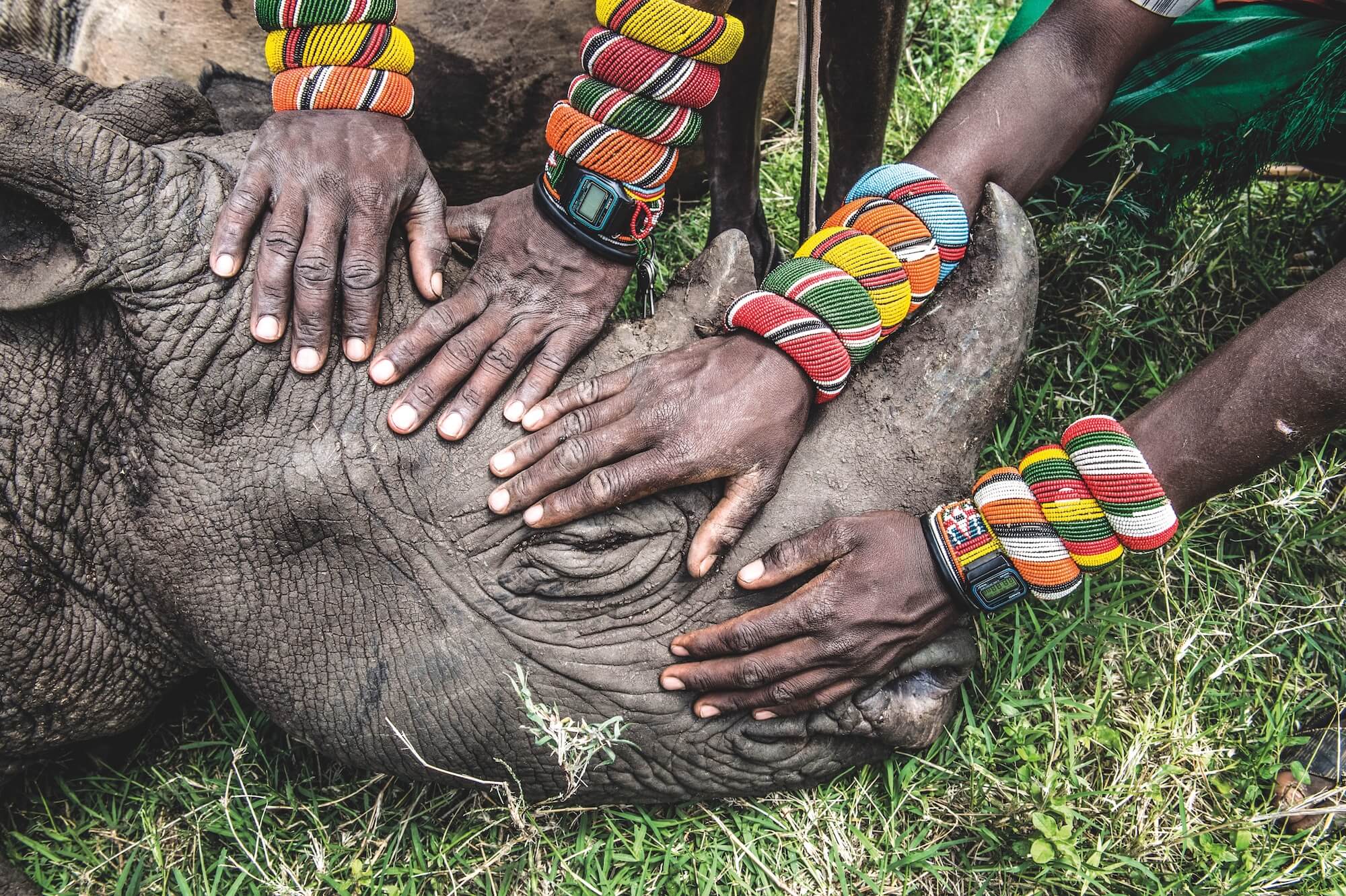 ‘A Group Of Samburu Warriors Touch An Orphaned Rhino For The First Time In Their Lives At Lewa Wildlife Conservancy In Kenya’ By Ami Vitale Honfrps (1)