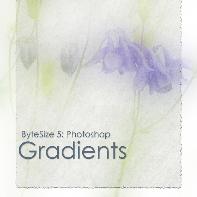 Bytesize5 Gradients Copy