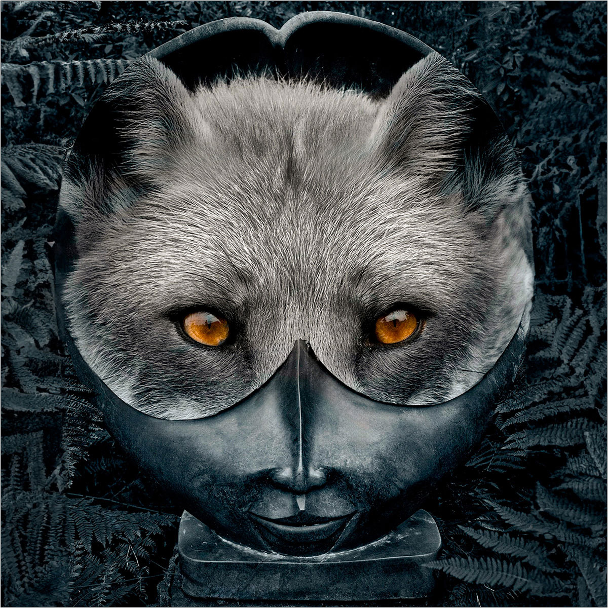 1200 10 Foxy Eyes By Claude Trew