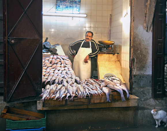 Morocco Fish Market