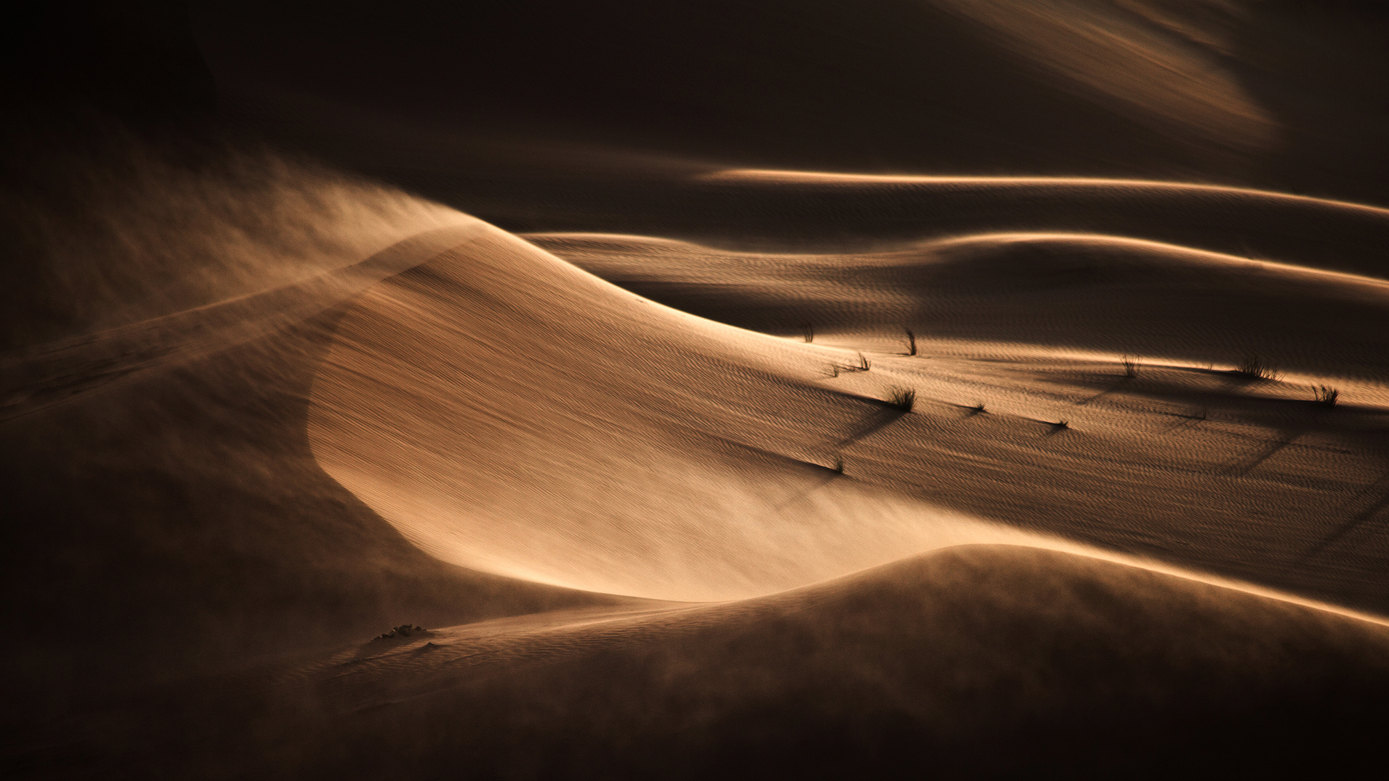 Aura Of The Dunes By Mohammed Arfan Asif, FRPS