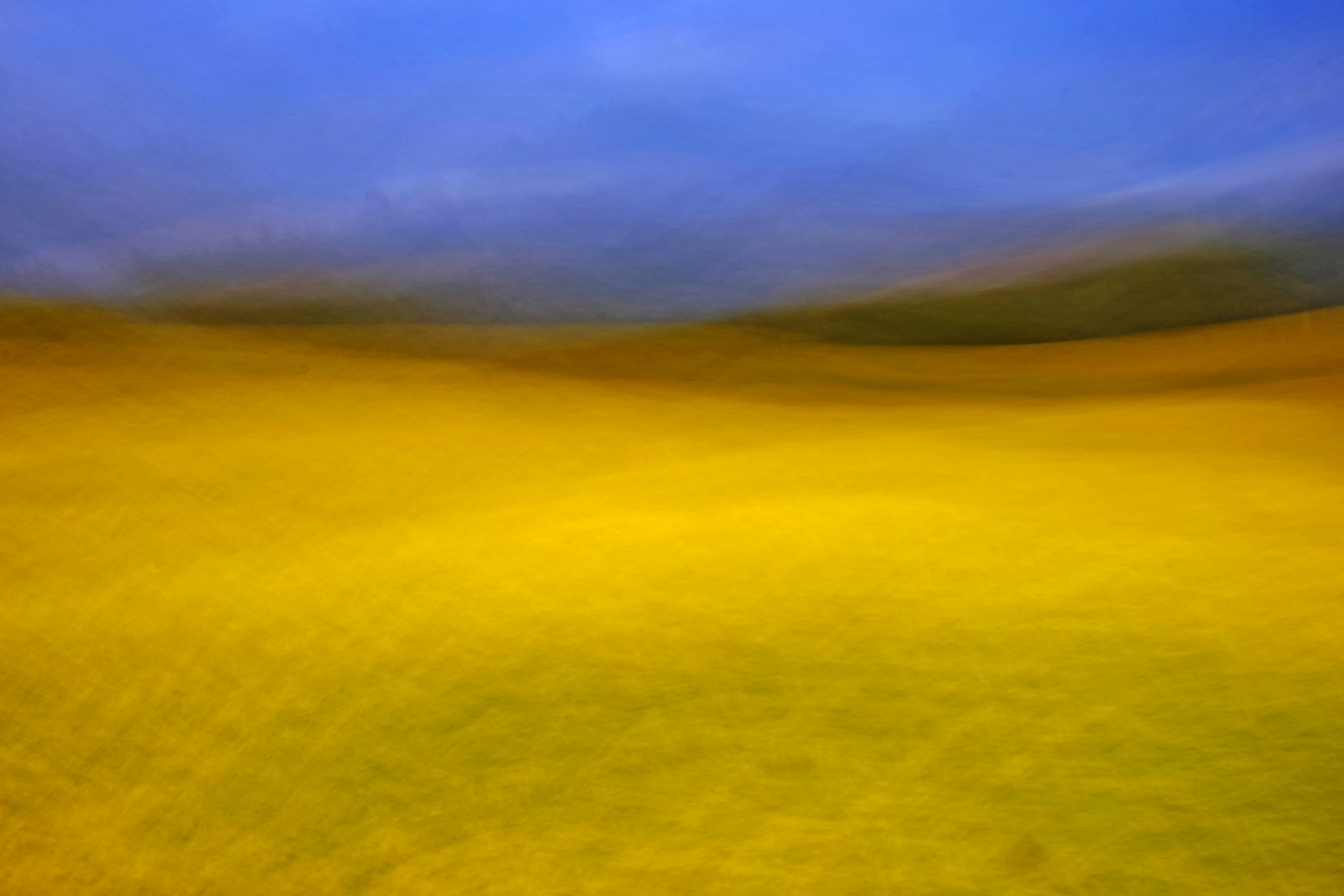 1. Blue on Yellow by Alastair Cochrane FRPS