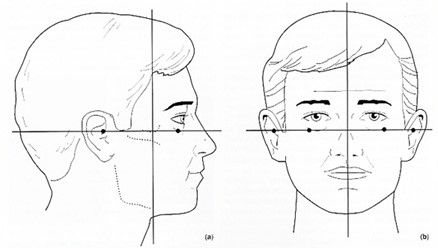 Head Alignment