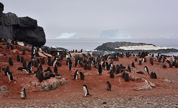 Gourdin Island, Antarctica
