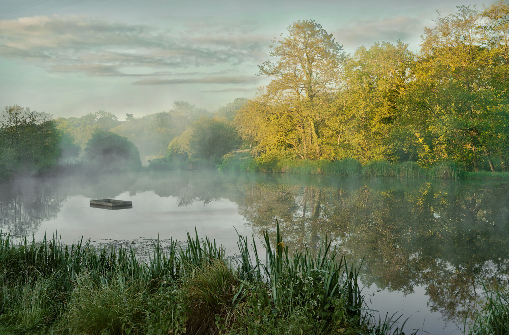 Misty Morning At The Lake By John Mcdowall