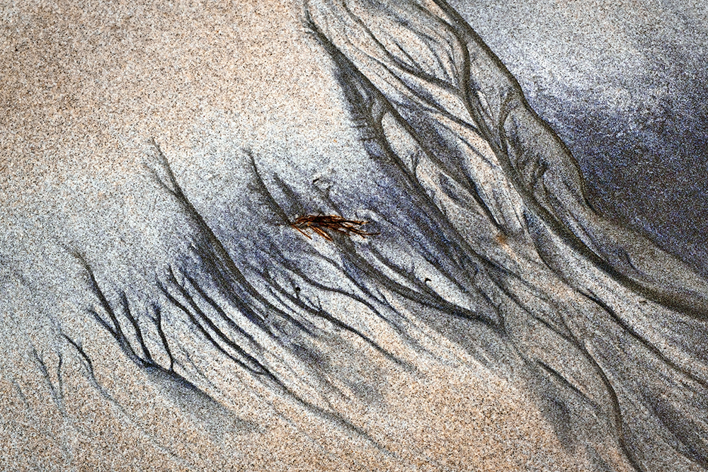 Beach Abstract by Val Walker