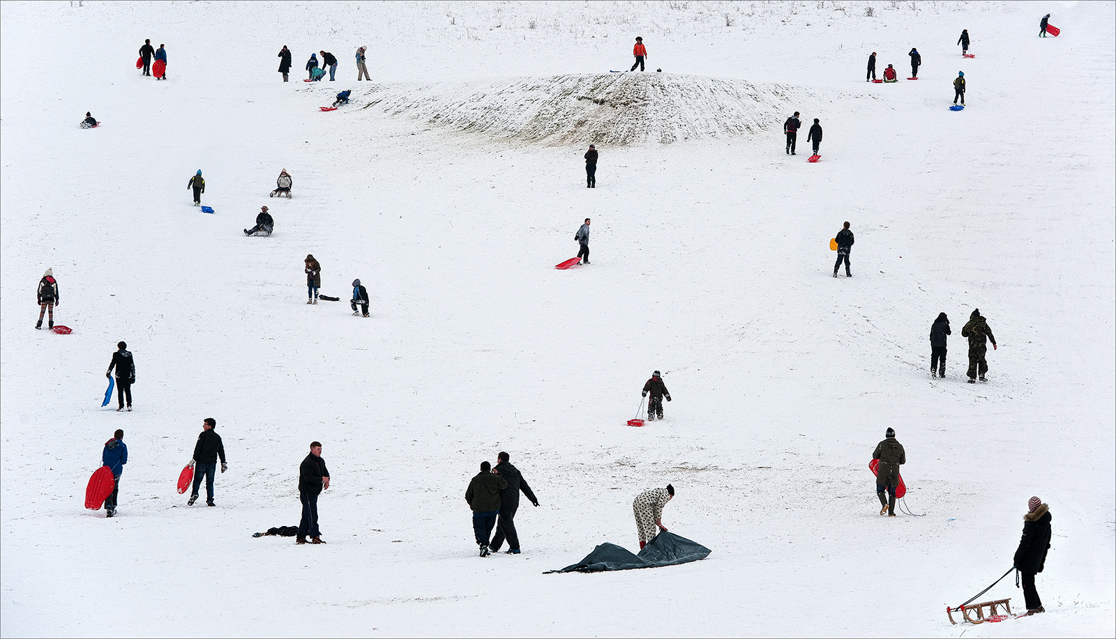 On Therfield Heath Chris Palmer