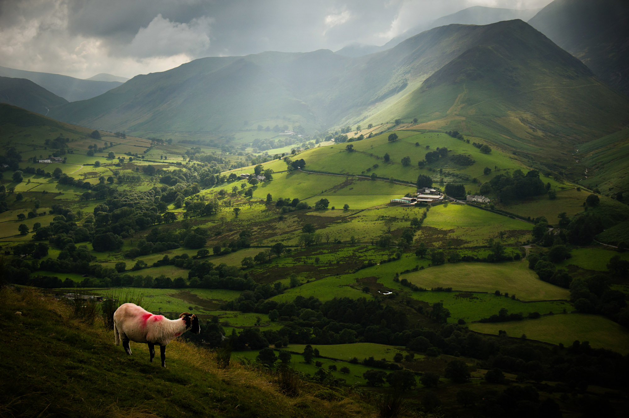 3Rd Place, On Catbells By James Weeks LRPS
