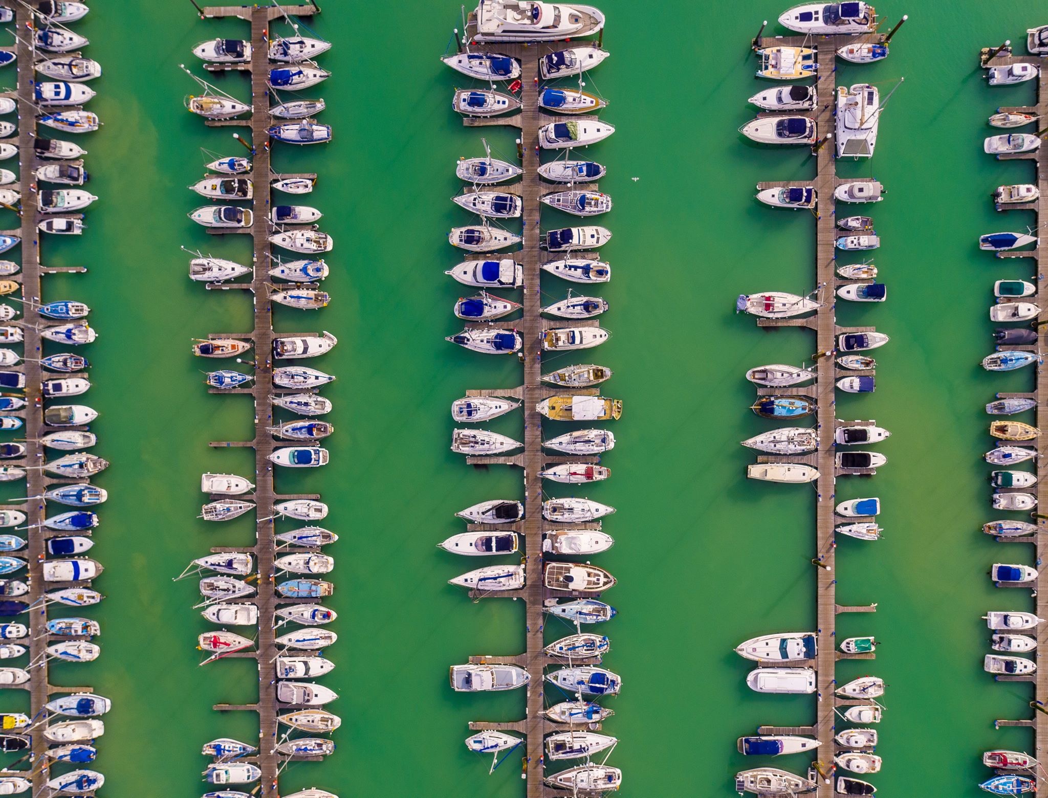 View of a marina from a drone