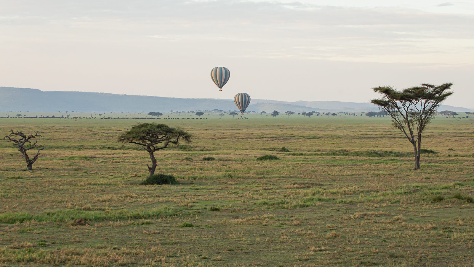 Balloon Ride Over The Serengeti