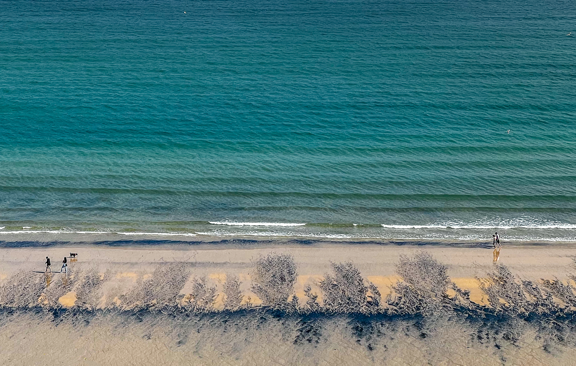 St Ives Beach By Nigel West