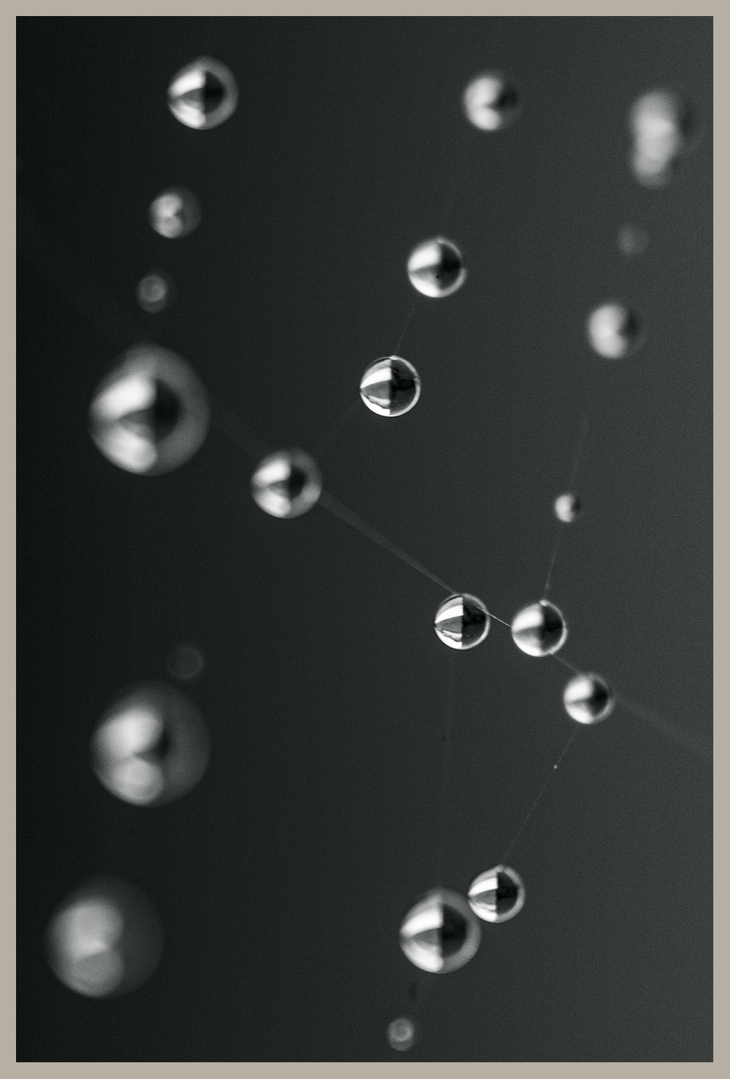 Rainwater on Spider's Web