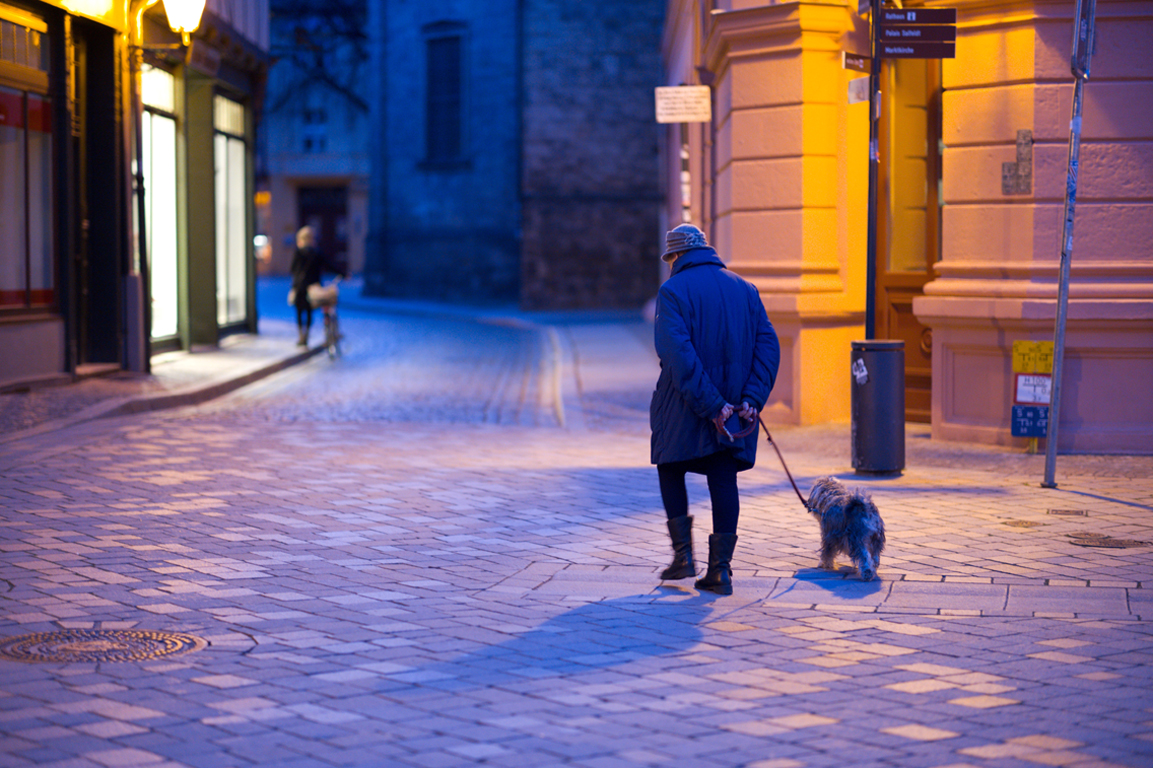 Walking a Lovely Dog by Rui Ma