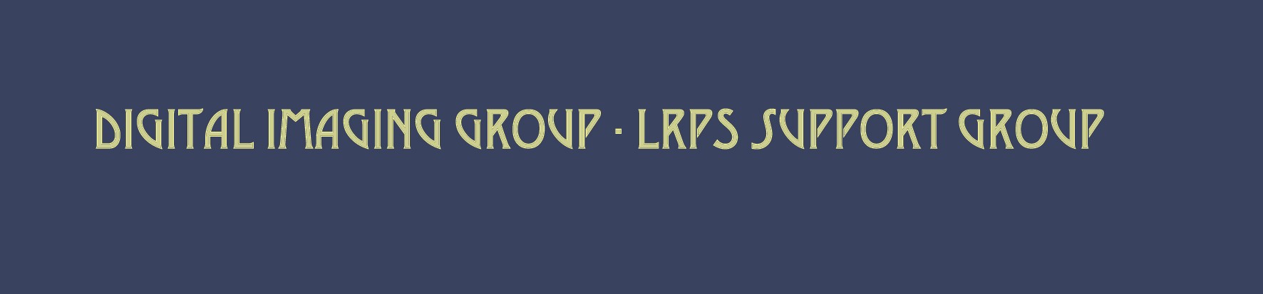 DIG - LRPS Support Group