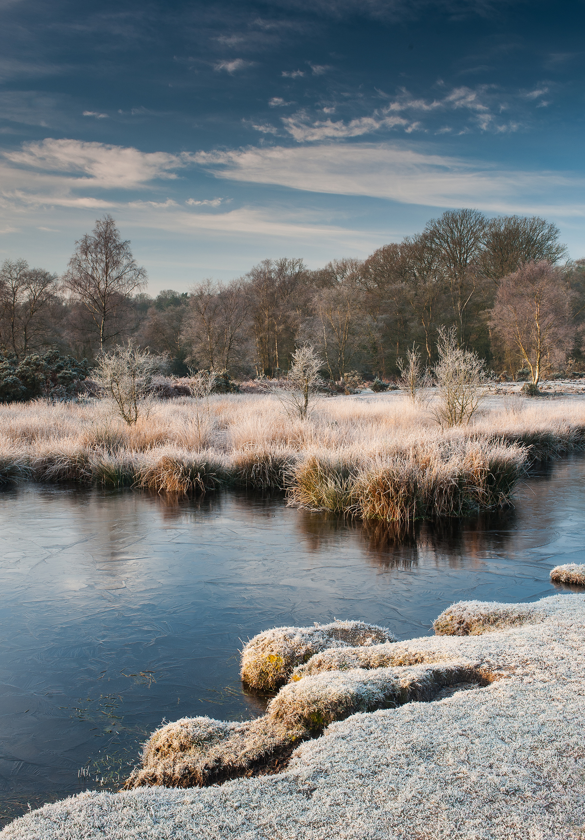 Frosty Morning, New Forest By Roger Creber ARPS