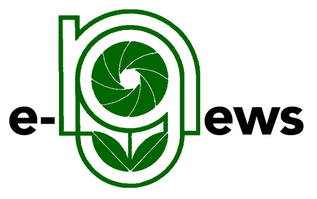 Enews Logo Multicolor.Jpg
