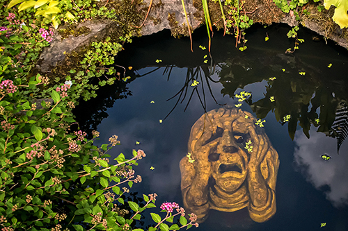 Face in pond