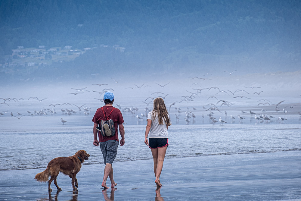 The Plovers Fly On A Wild Oregon Beach Manzanita by Jane Tearle