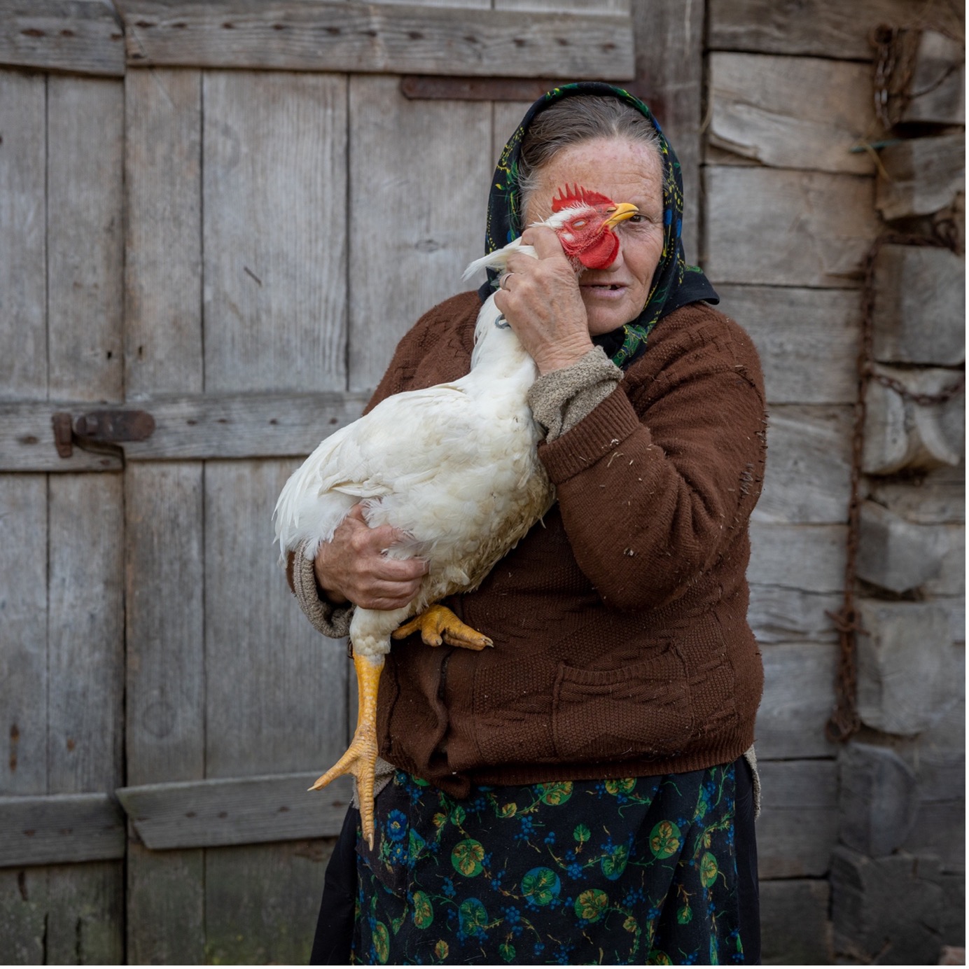 Woman With Chicken By Judy Ford LRPS
