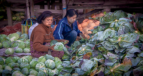 Cabbage Stall
