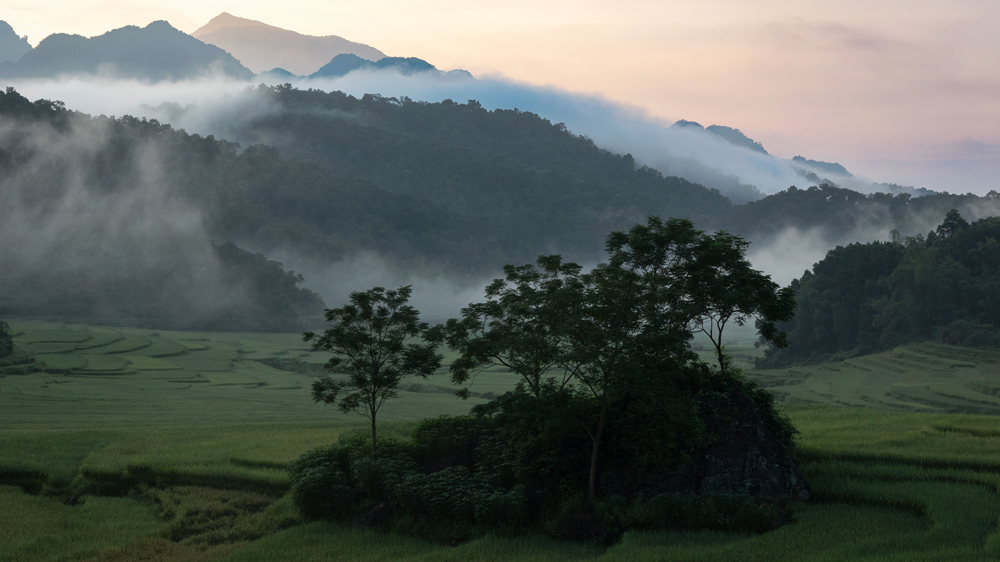 Sunrise, North Vietnam by Penny Westmoreland