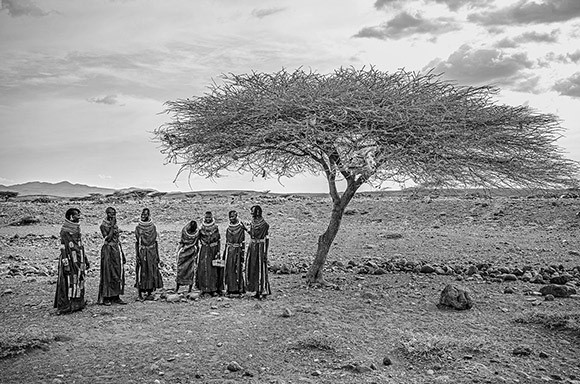 Seven Wives, Kenya
