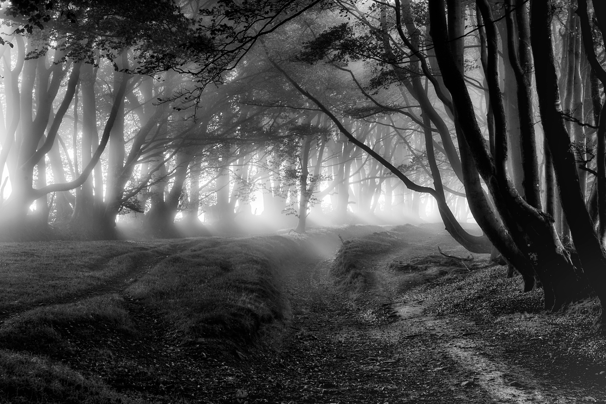 2Nd Place Misty Drove Road By Ian Iles