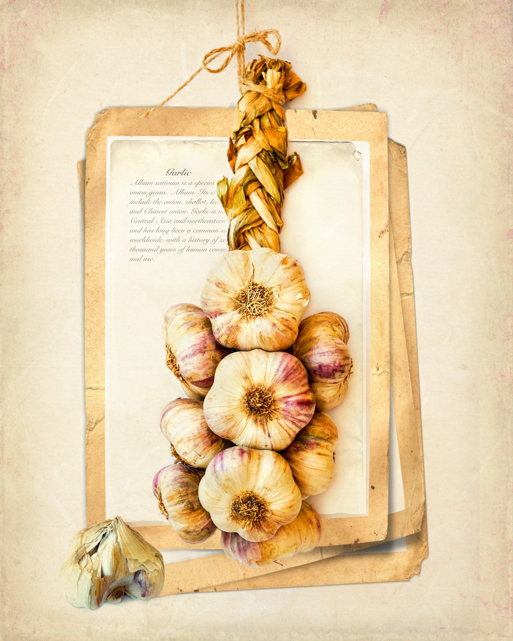 Thumbnail Fruits Of The Earth Garlic