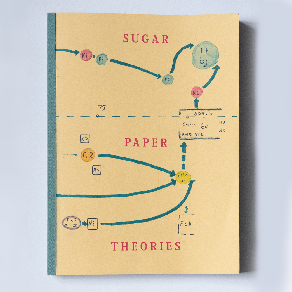 Sugar Paper Theories Book