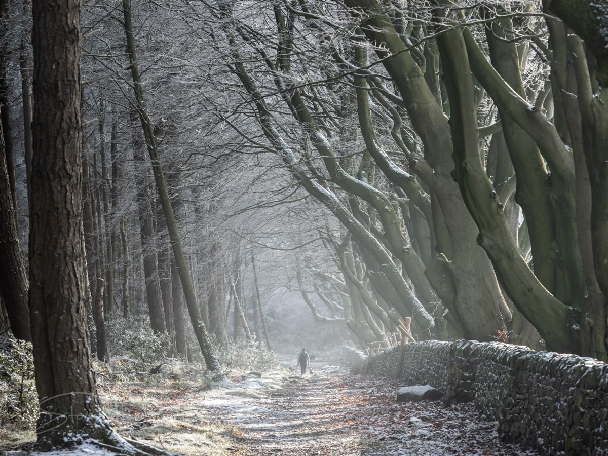 1st Dec 22 Holme Wood, Peak District by Stephen Miles ARPS
