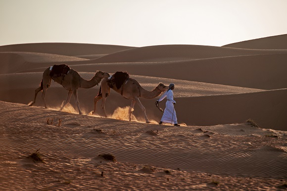 Marching In Desert