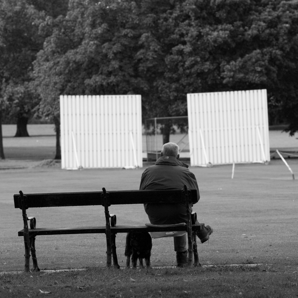 Waiting For The Cricket Match 2020