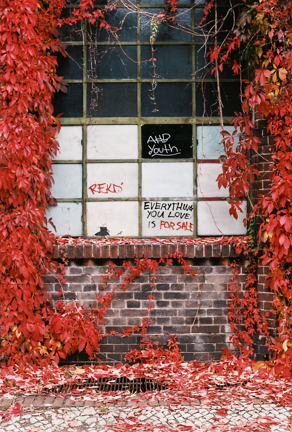 Red leaves surround a warehouse window