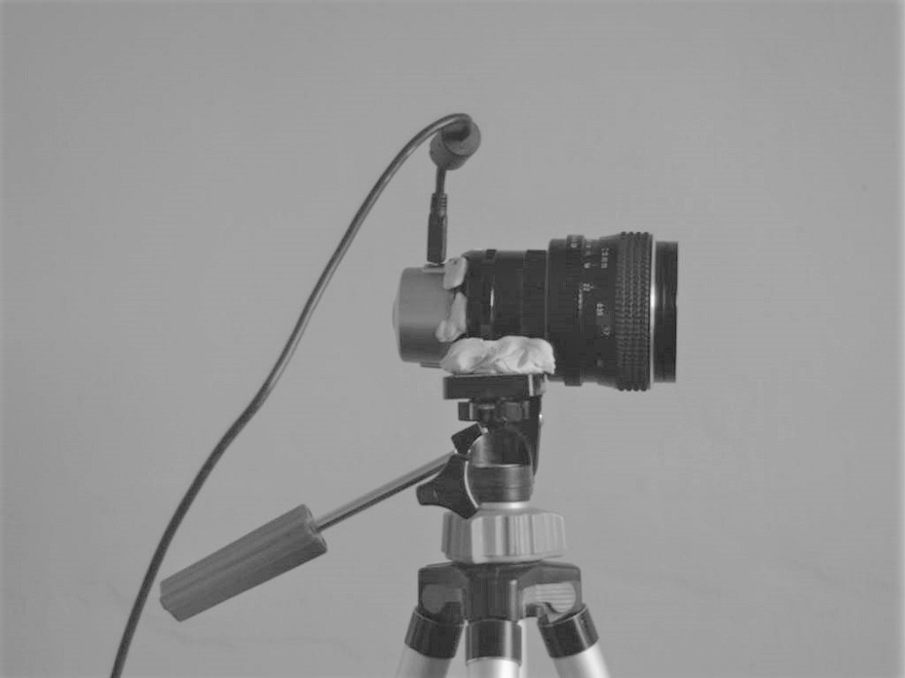 2010 Blu Tac Camera